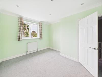 Picture 31